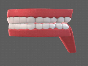 cartone animato di denti Modello 3D