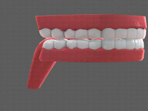 cartone animato di denti Modello 3D