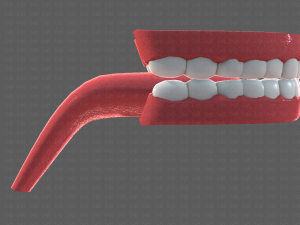 teeth cartoon 3D मॉडल
