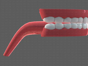 cartone animato di denti Modello 3D