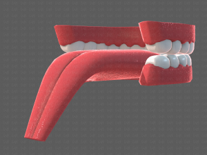 teeth cartoon 3D मॉडल