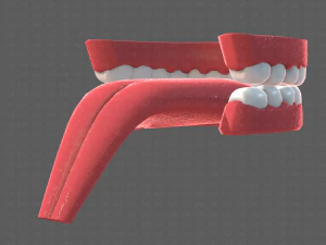 cartone animato di denti Modello 3D