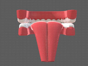 cartone animato di denti Modello 3D