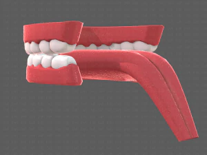 cartone animato di denti Modello 3D