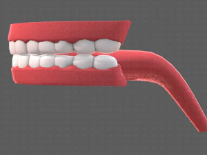 cartone animato di denti Modello 3D