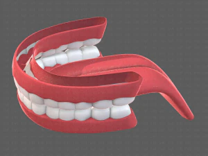 cartone animato di denti Modello 3D
