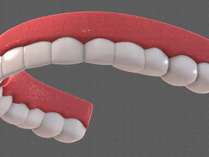 cartone animato di denti Modello 3D