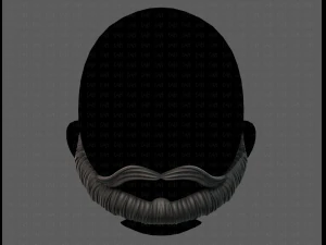 beard v10 3D Model