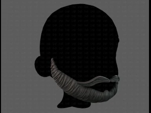 beard v10 3D Model