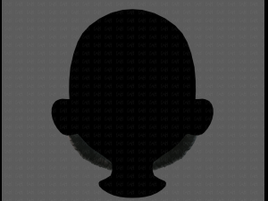 beard v10 3D Model