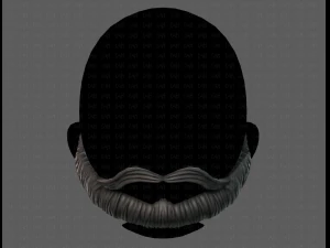 beard v10 3D Model