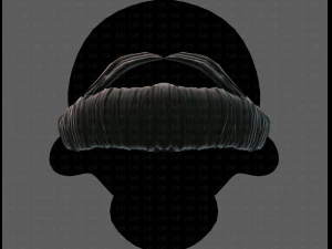 beard v10 3D Model