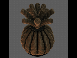 3d hair style for boy v73 3D-Modell