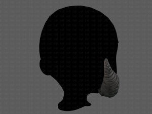 beard v11 3D Model
