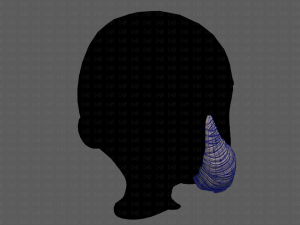 beard v11 3D Model