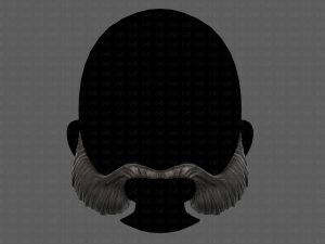 beard v11 3D Model