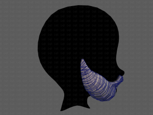 beard v11 3D Model