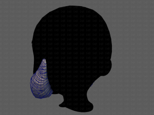 beard v11 3D Model