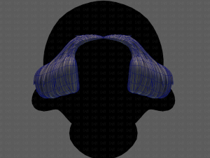 beard v11 3D Model