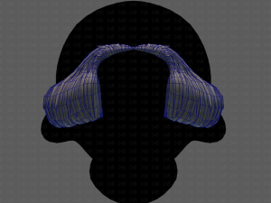 beard v11 3D Model