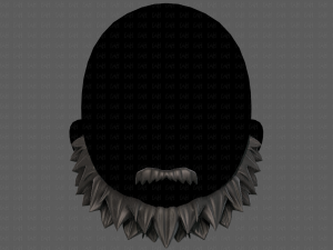 beard v13 3D Модель