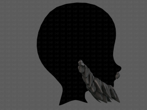 beard v13 3D Модель