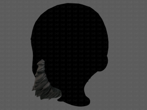beard v13 3D Модель