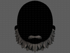 beard v13 3D Модель