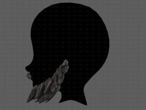 beard v13 3D Модель