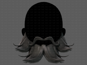 beard v14 3D Model