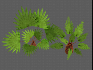 trees cartoon v10 3D Model