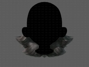 barba v16 Modello 3D