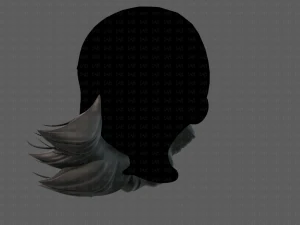 barba v16 Modello 3D