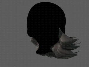 barba v16 Modello 3D