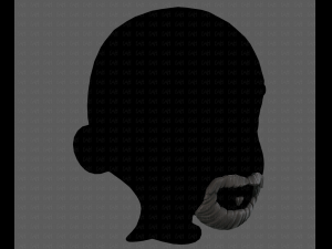beard v18 Model 3D
