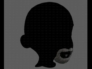 beard v18 3D Model