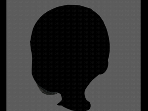 beard v18 Model 3D