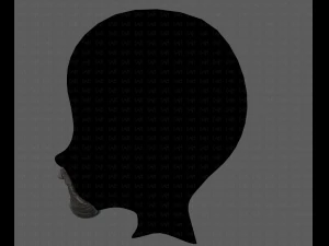 beard v18 3D Model