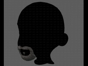 beard v18 3D Model