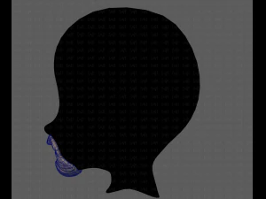 beard v18 3D Model