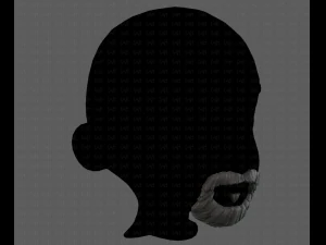 beard v18 3D Model