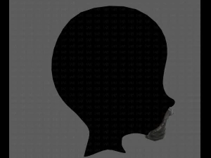 beard v18 3D Model