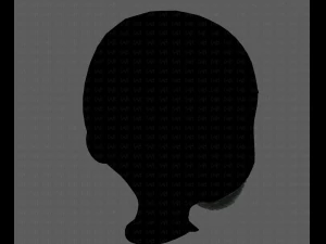 beard v18 3D Model