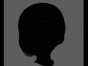 beard v18 3D Model