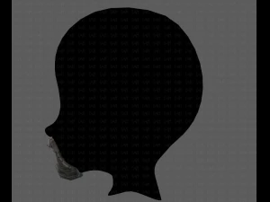 beard v18 3D Model