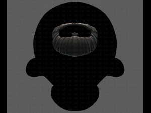 beard v18 3D Model