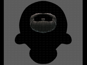 beard v18 Model 3D