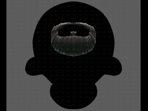 beard v18 3D Model