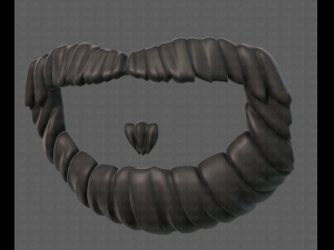 beard v18 Model 3D