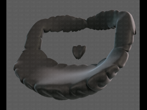 beard v18 Model 3D